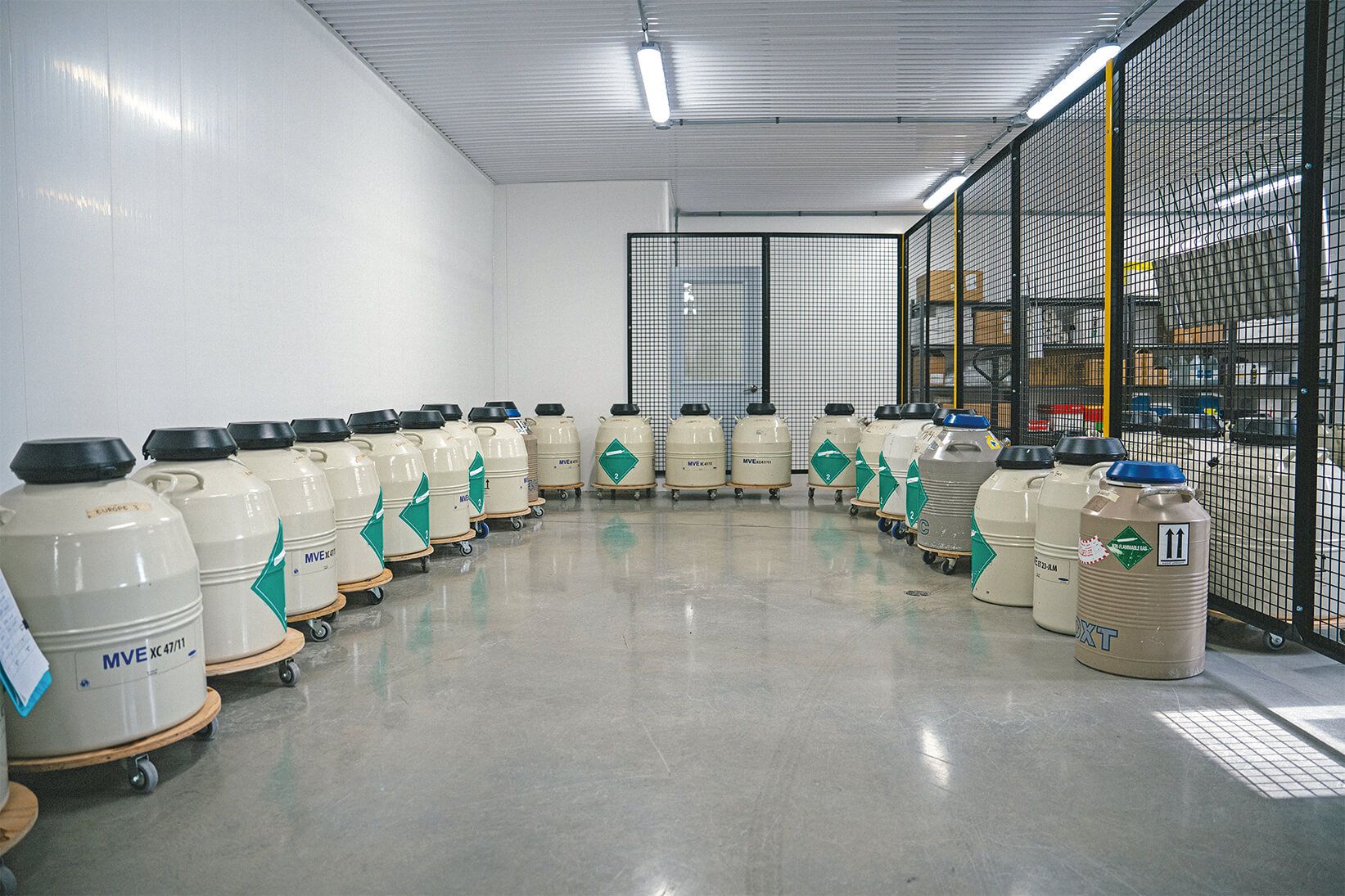 Entrepôt à semences, d’une capacité de 500 000 doses.