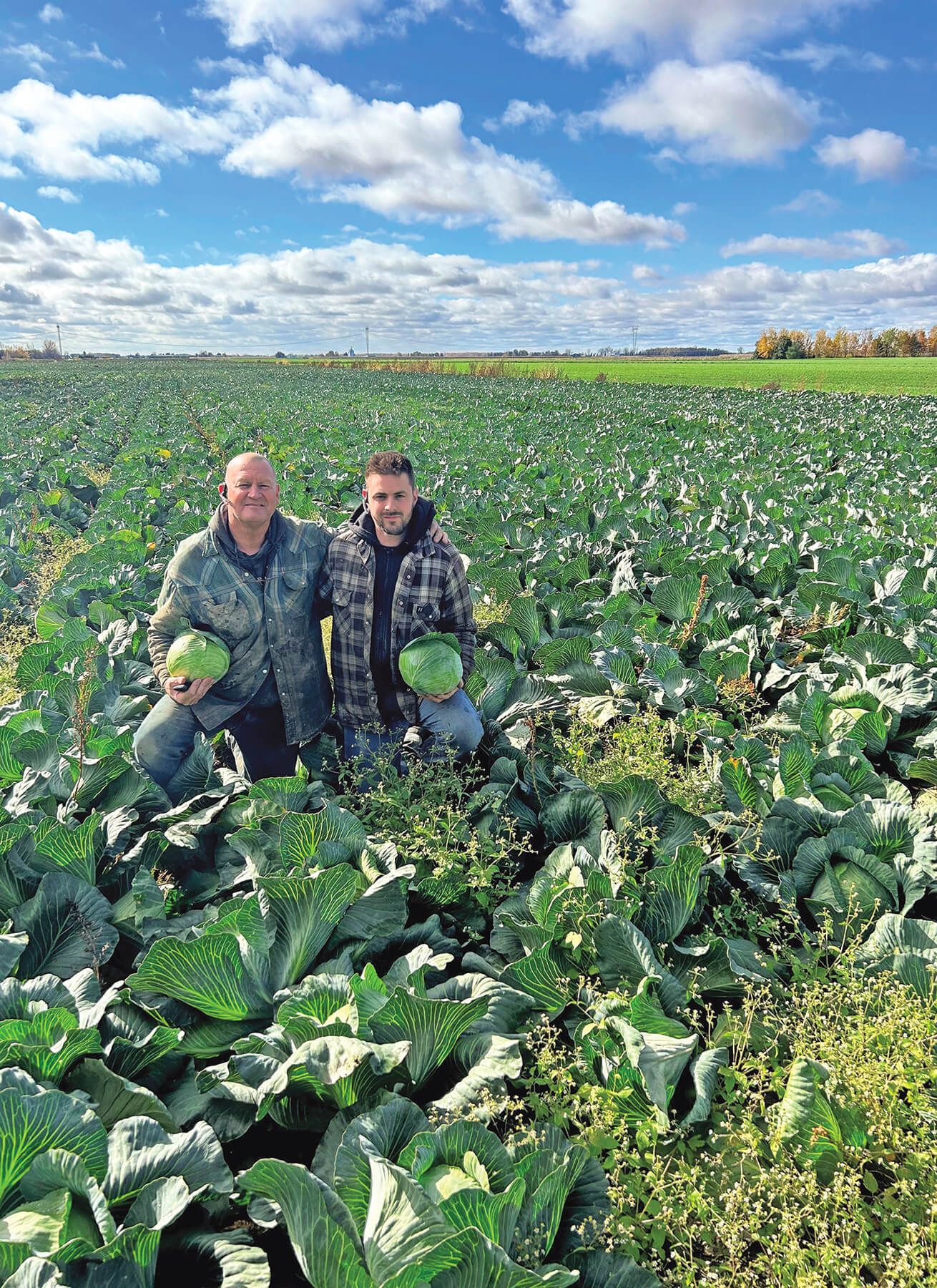 Sylvain et Keven Legault, président et vice-président de Jardinier Rolland Legault et Fils inc., dans leur champ de choux verts.
