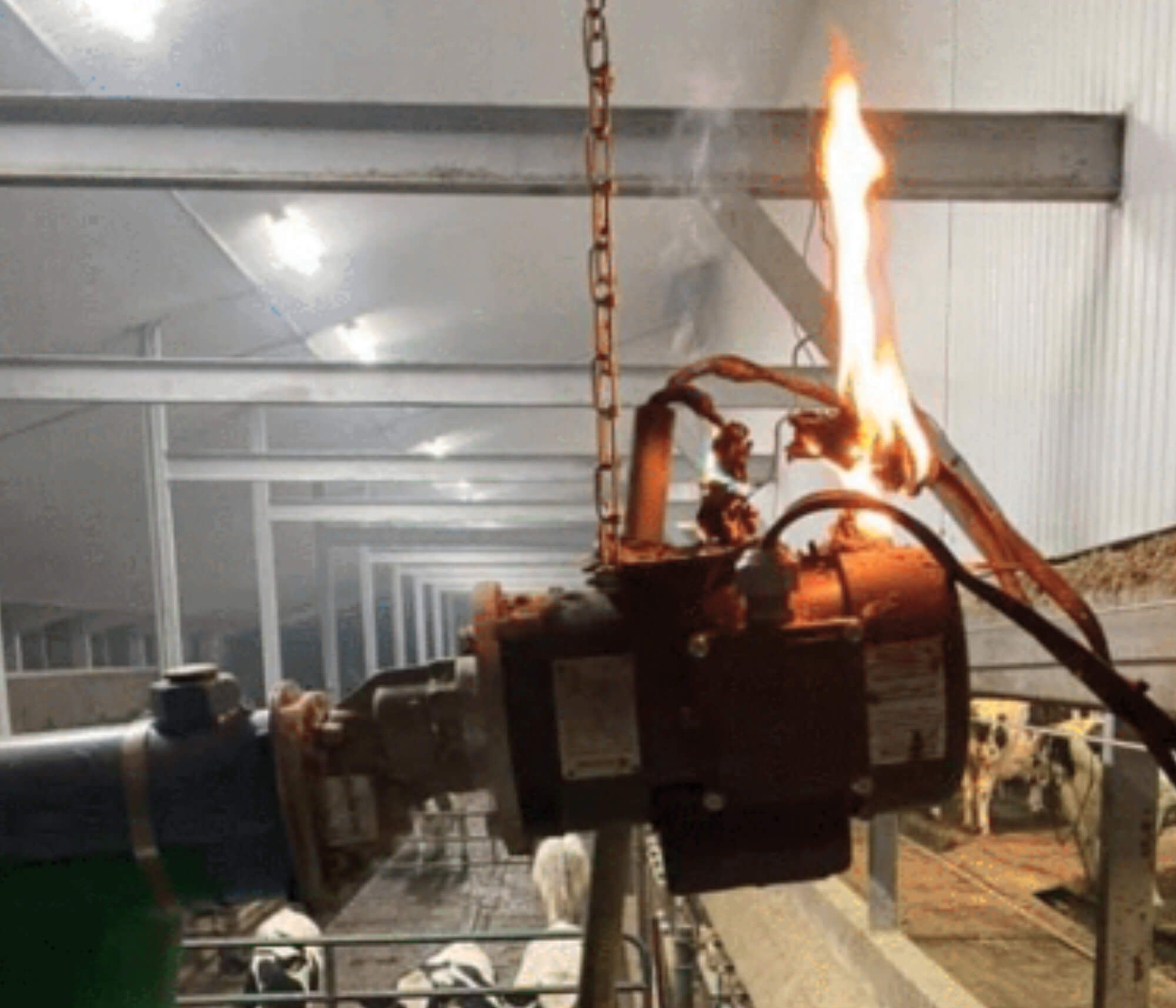 Étude de cas : Ferme Faucher & Fils