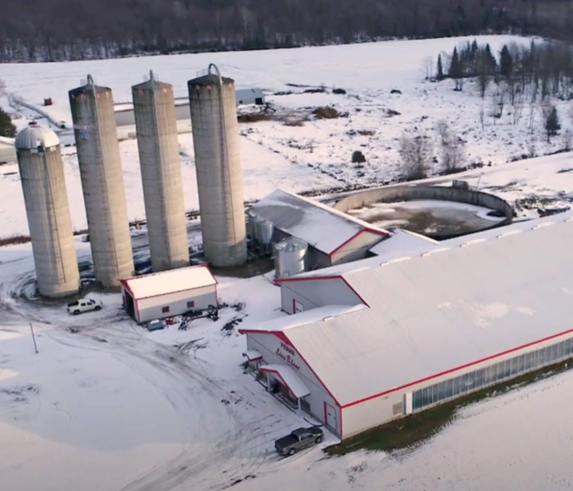 Étude de cas : Ferme Lion Blanc