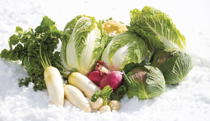 Winter market gardening in full swing