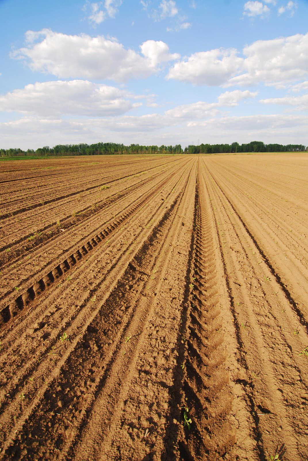 Protecting Farmland with Land Trusts