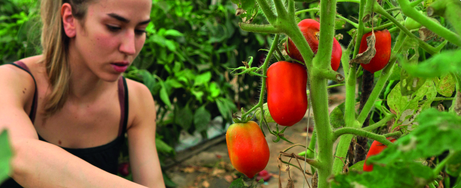 Fighting Food Waste