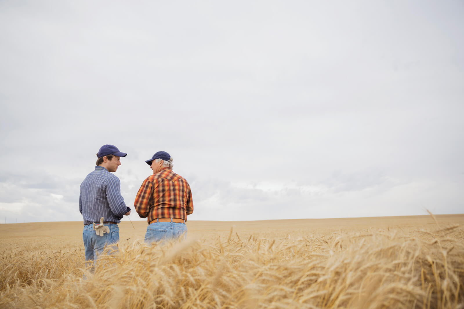 Quand l’agriculture est vue comme une nuisance