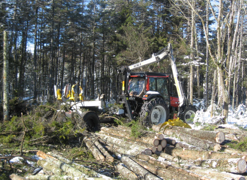 Ébrancheuse Patu (Kesla) 40LFe