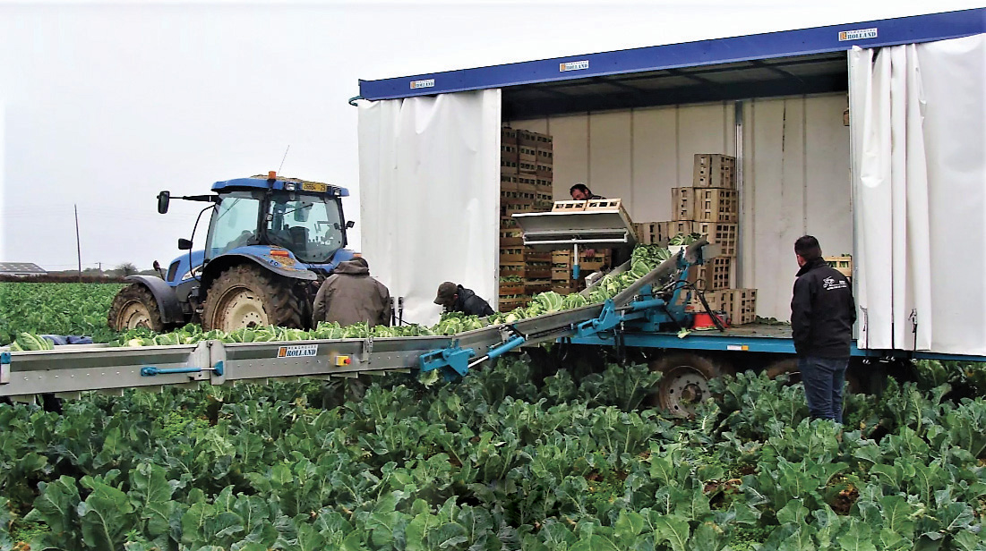  Rolland Convoyeur à légumes