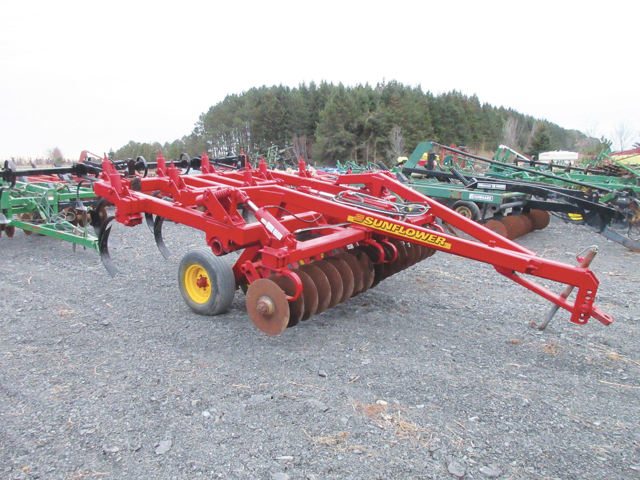 Chisel Sunflower 4211