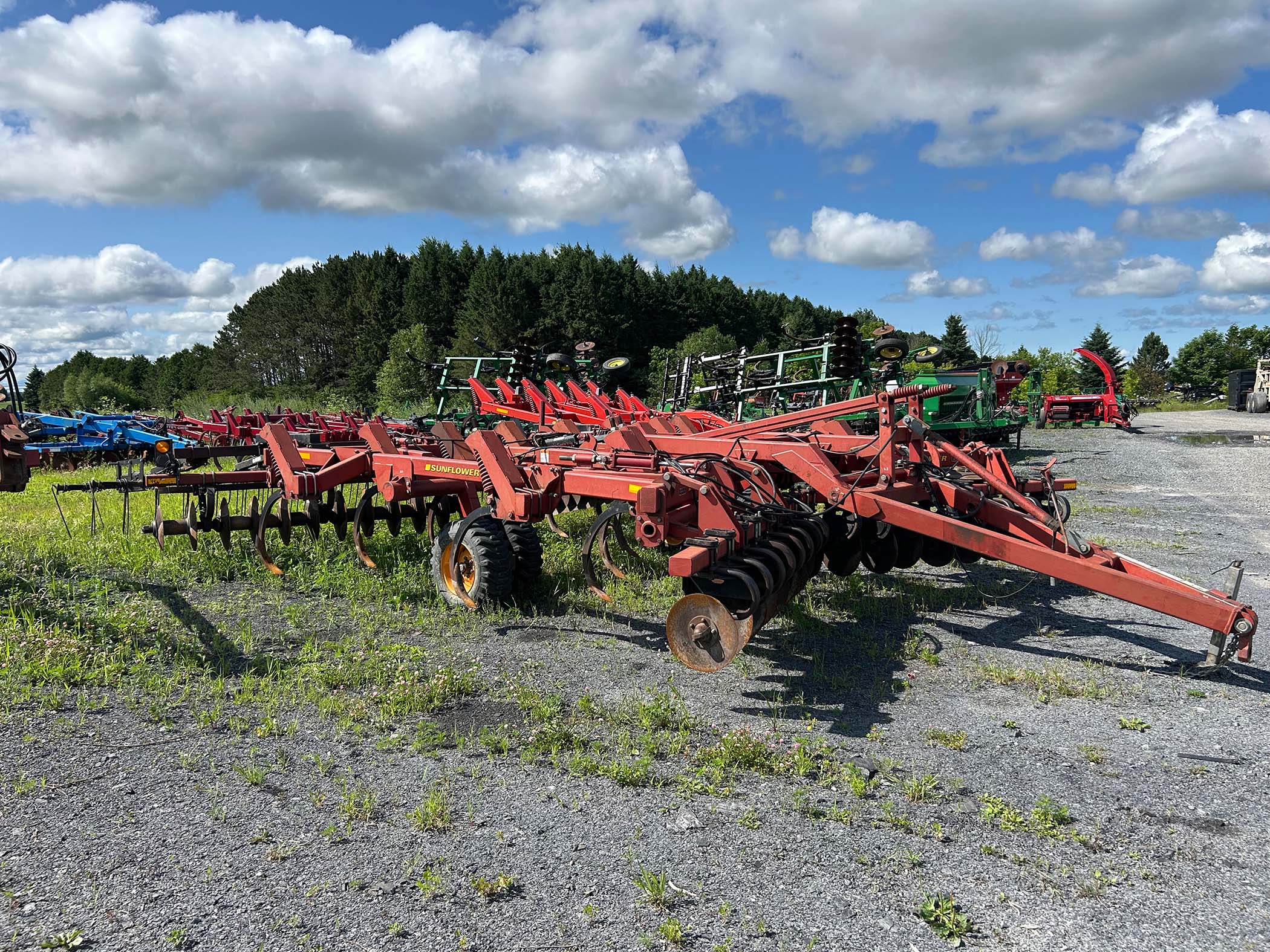 Chisel Sunflower 4510