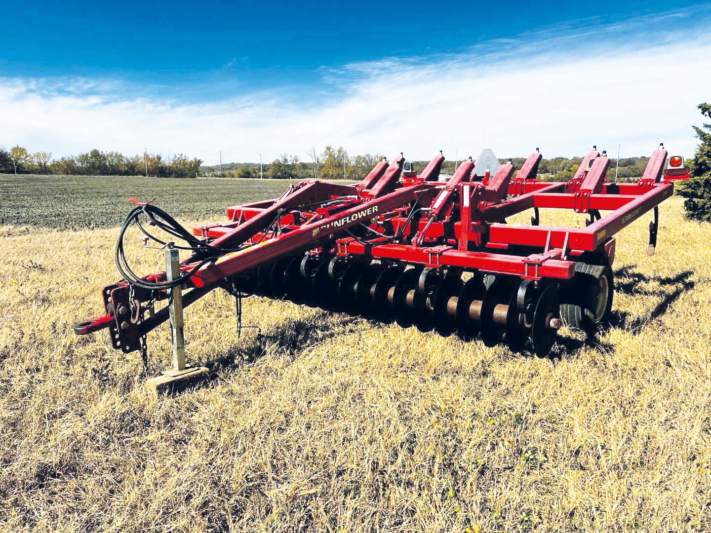 Chisel Sunflower 4213