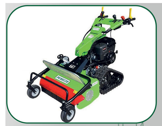 Tondeuse Perruzzo MOTOFROG 75