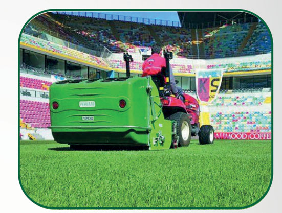 Tondeuse Perruzzo Koala