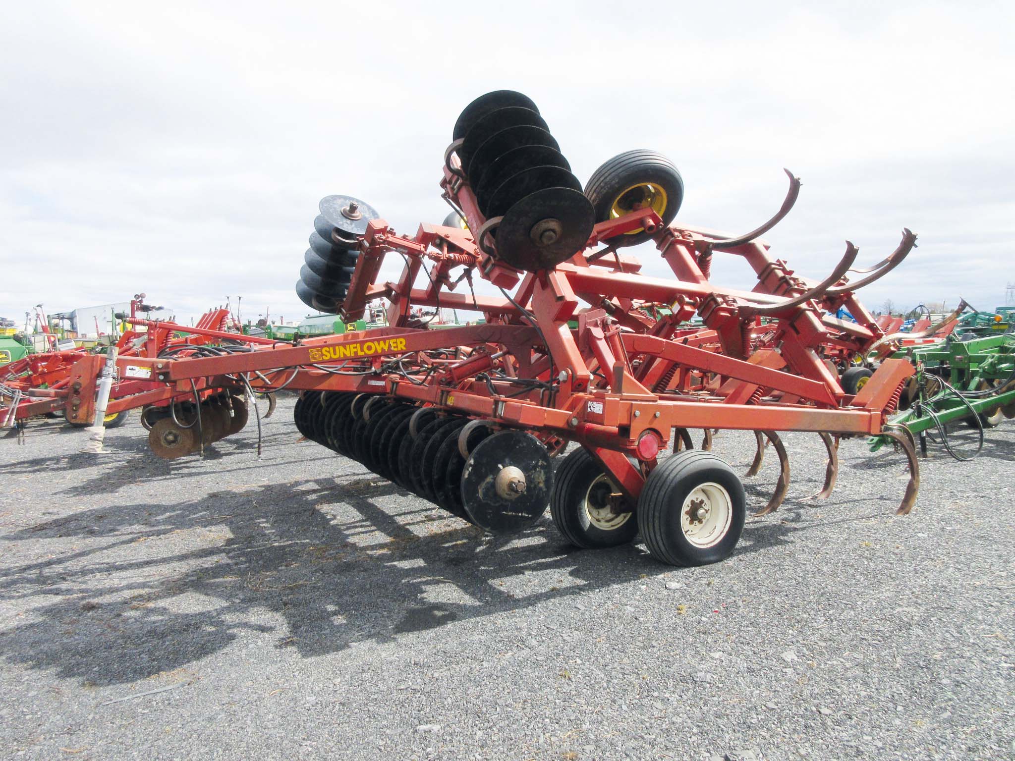 Chisel Sunflower 4211