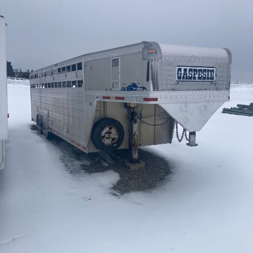 Animal trailer Autre 24X7