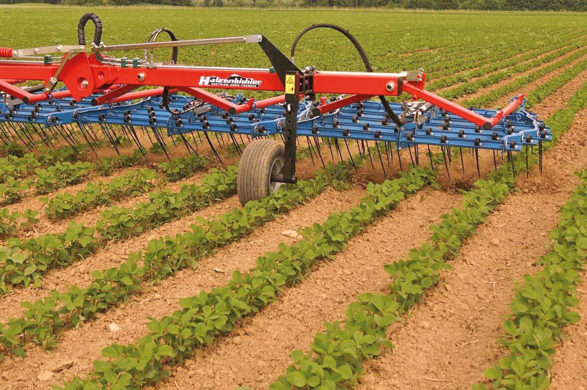 Harrow  étrille HATZENBICHLER