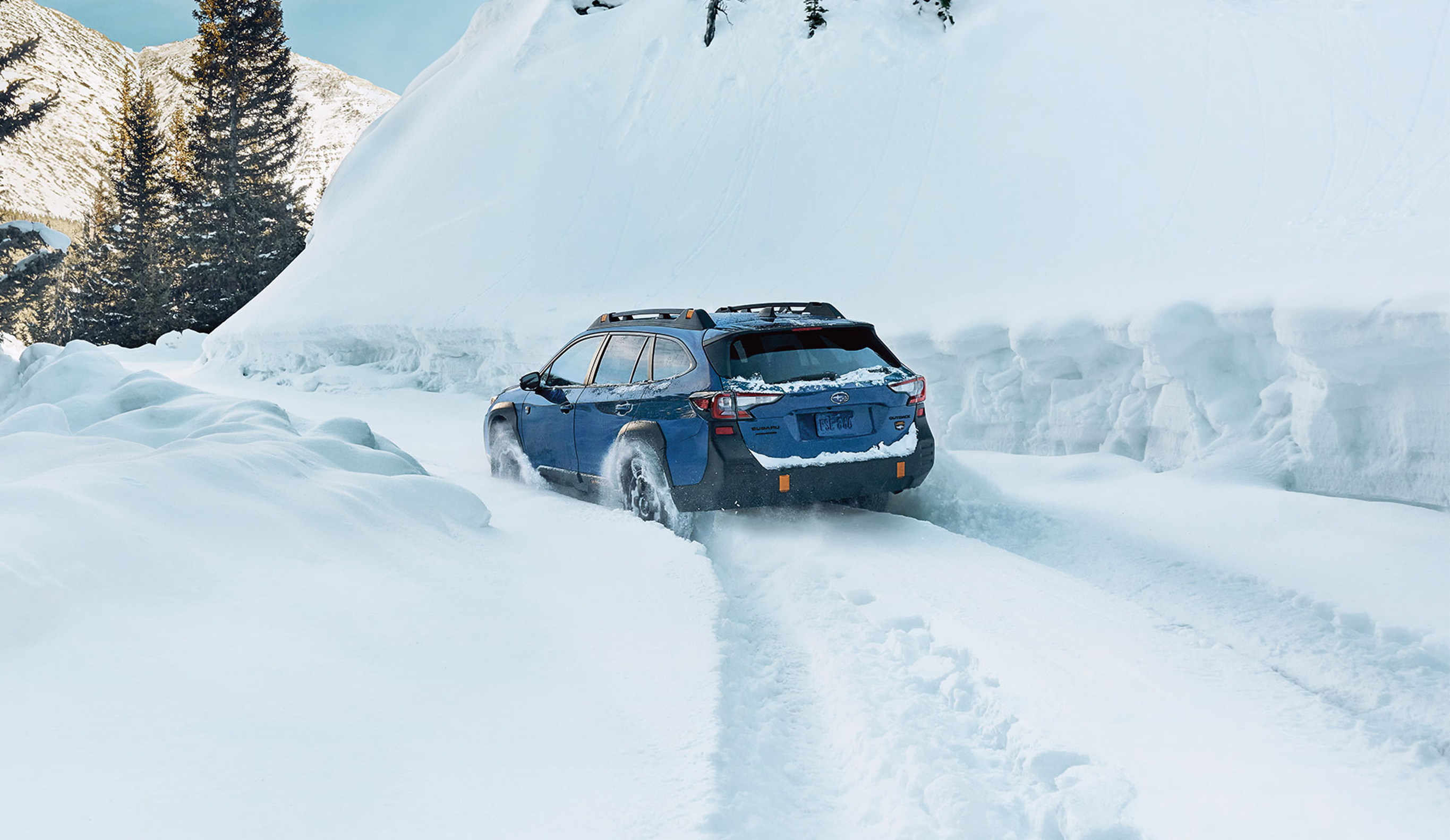 SUV  Subaru Outback