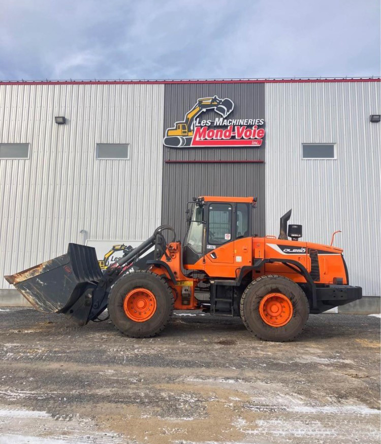 Chargeur articulé sur pneus Doosan DL 250