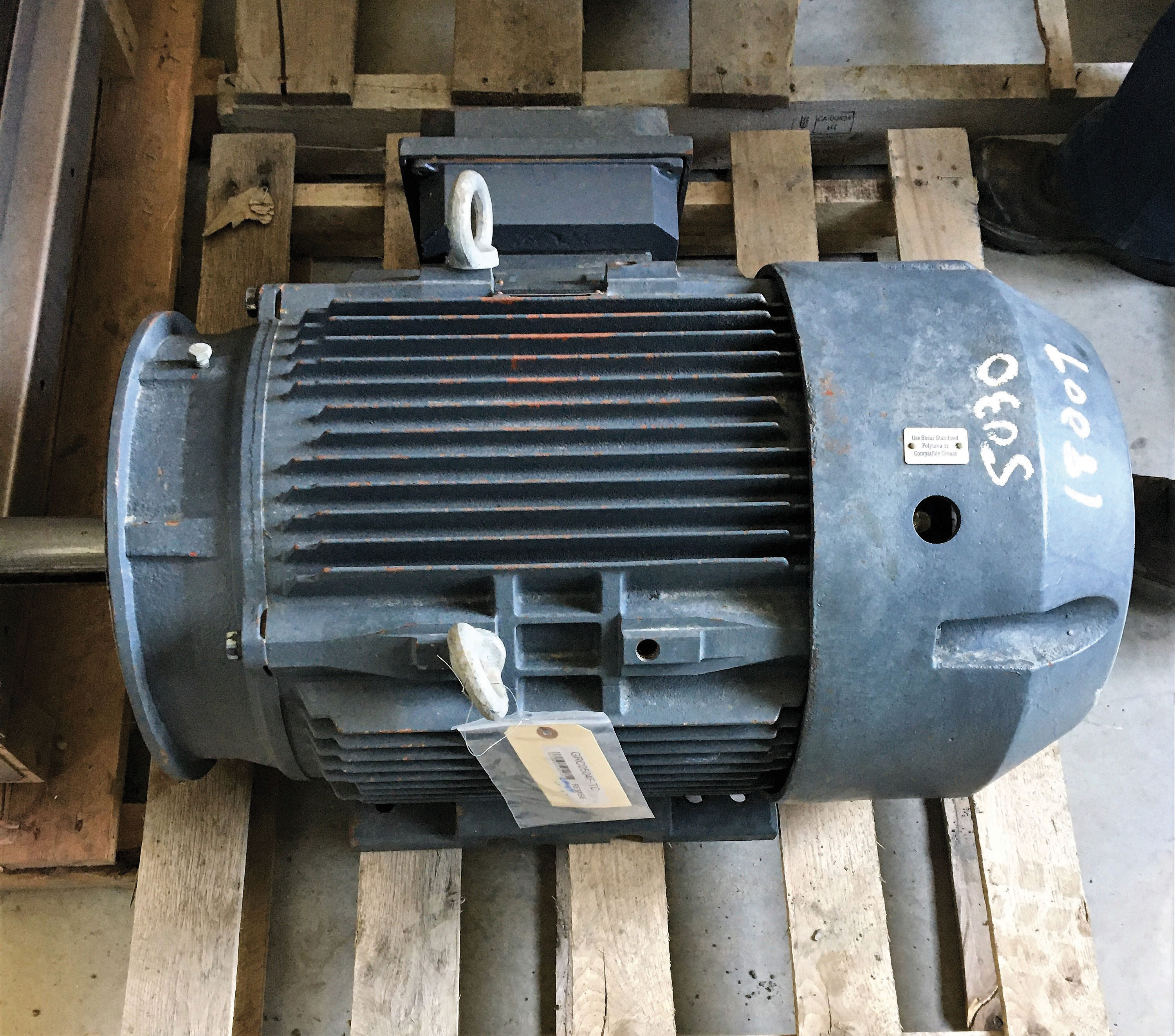 Motor  Montées d’écureur GEA 30 pi et Patz 30 pi