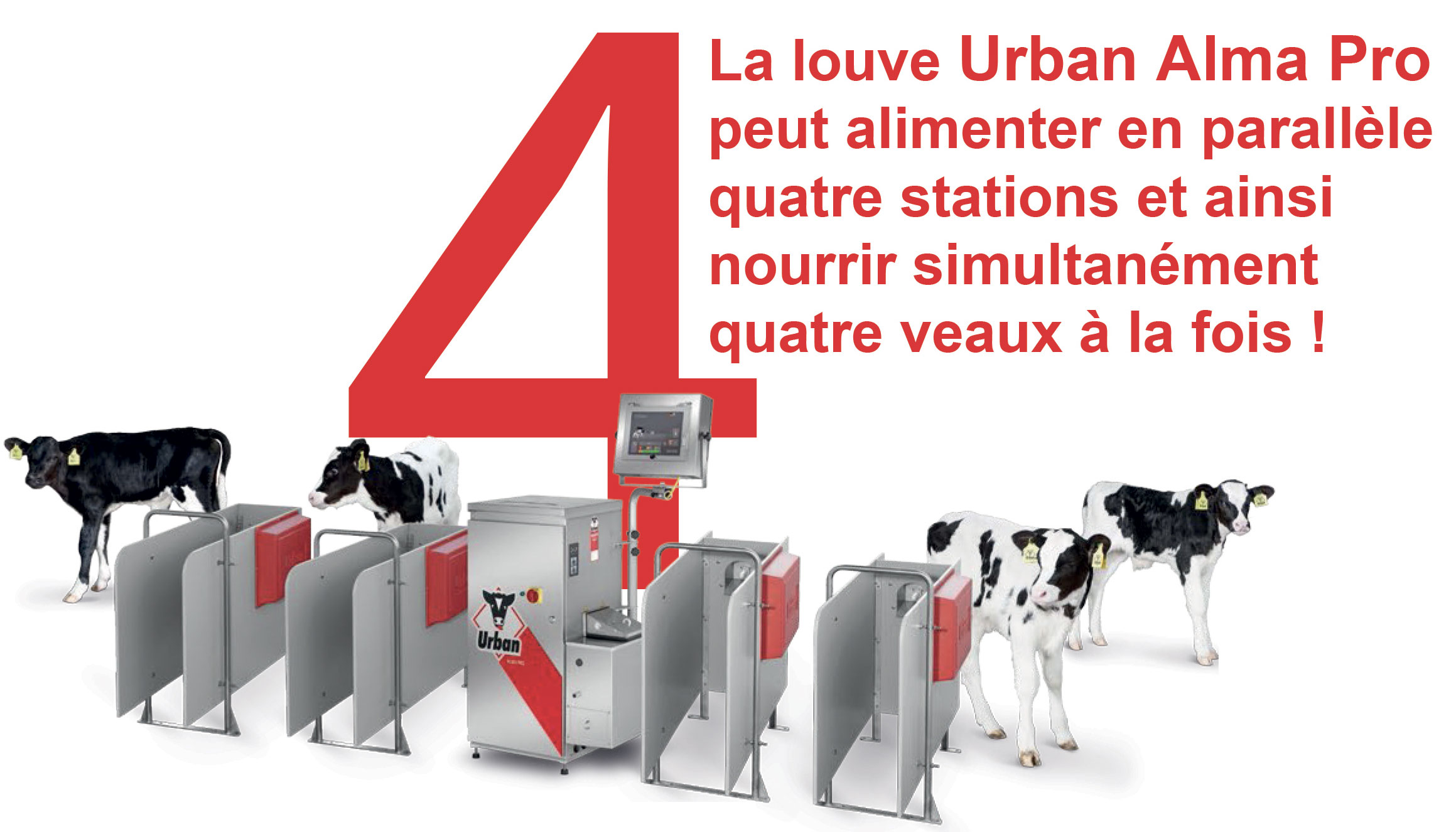 Feeding system for calves  Urban Alma Pro