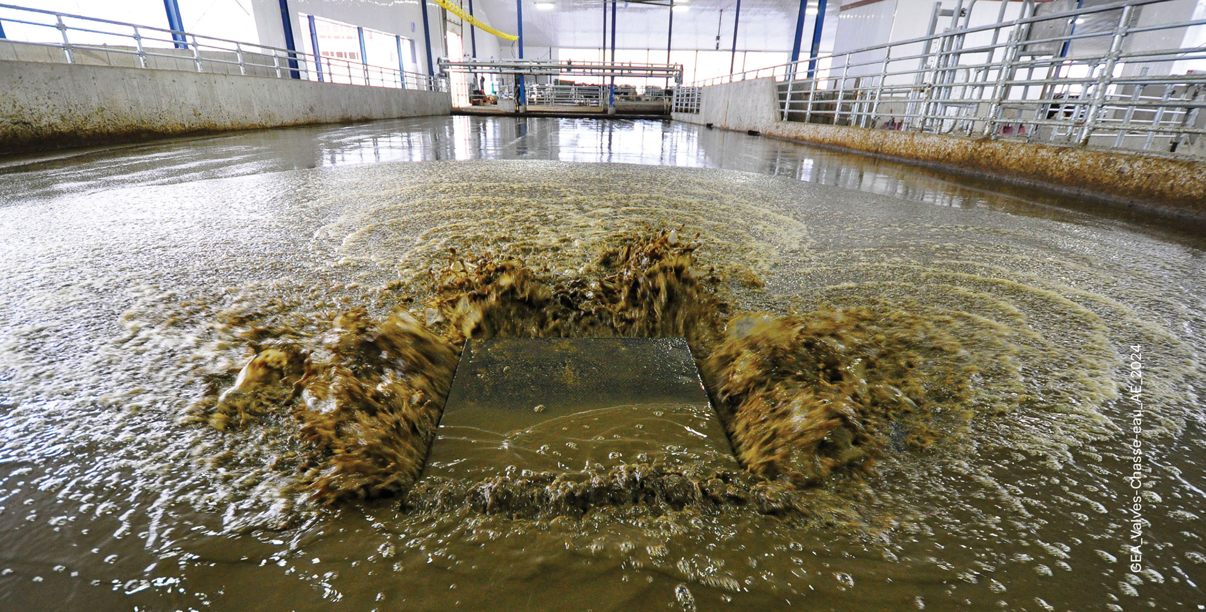   Système de valves de chasse d’eau pour nettoyer  l’aire d’attente des salles de traite.