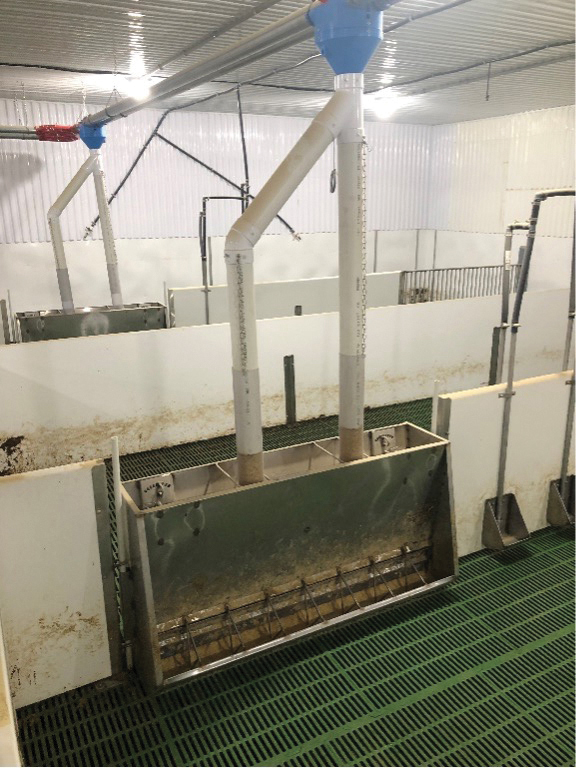   Plusieurs projets de changement de planchers de pouponnières,  nouveaux bols à eau avec économiseur d’eau, trémies  sur mesure