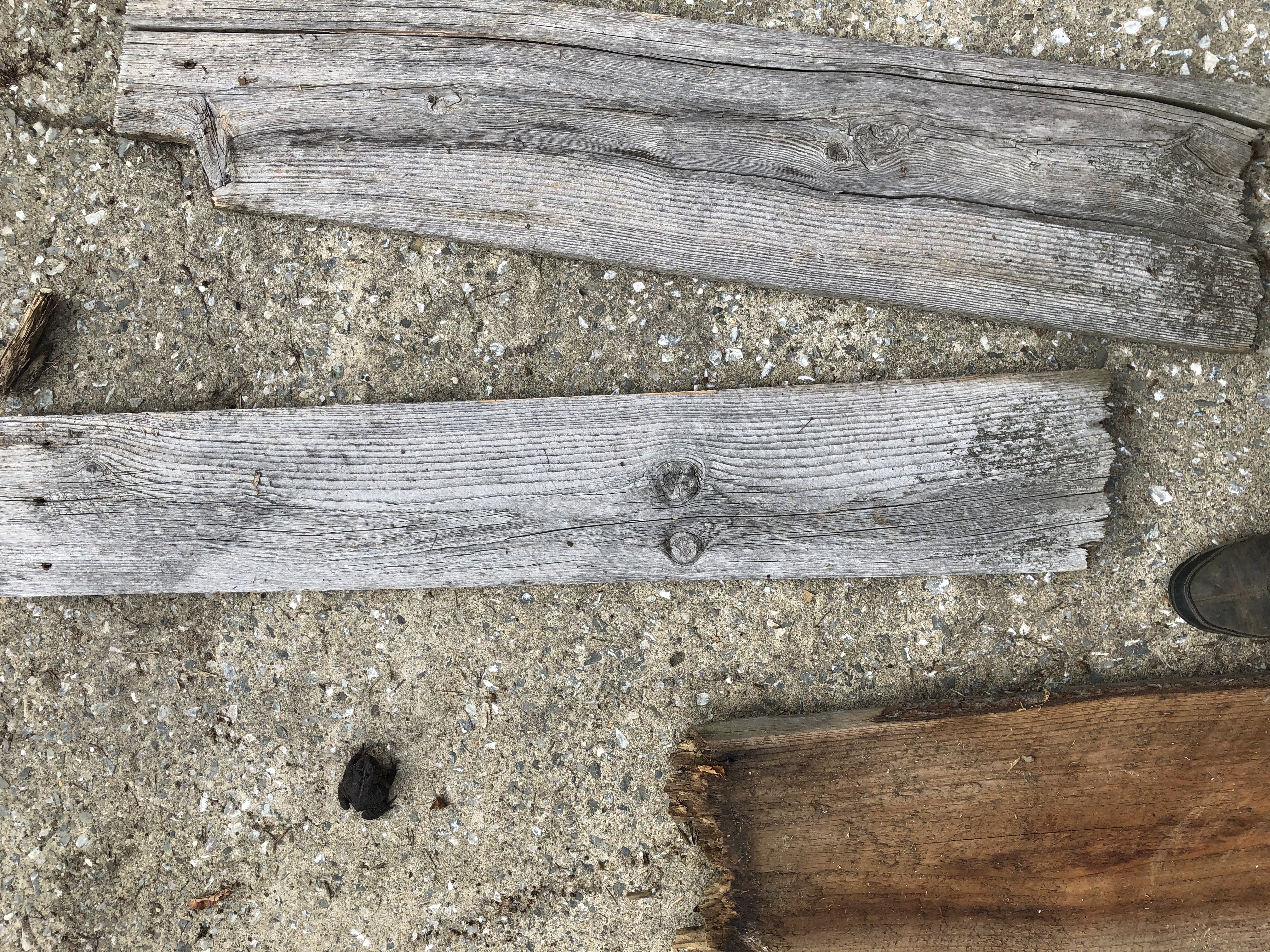   Planches et poutres de grange à vendre au pied ou au lot!