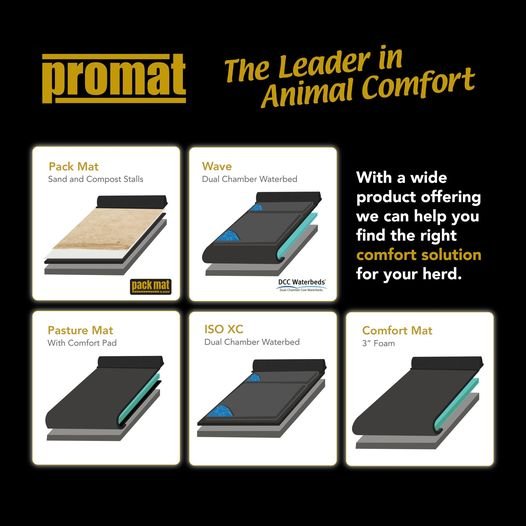   matelas tapis confort 