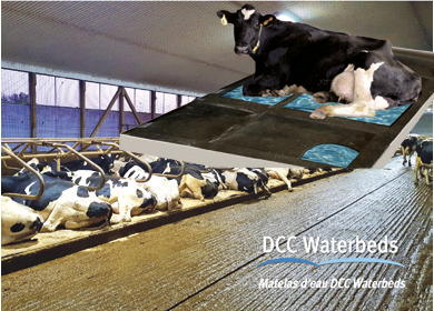 Water mattress DCC Waterberds 