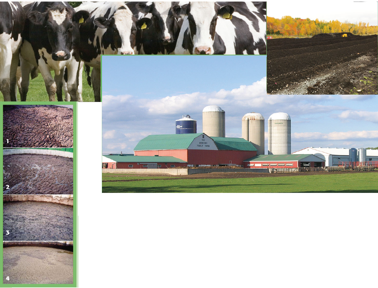   Traitement des litières Penergetic k