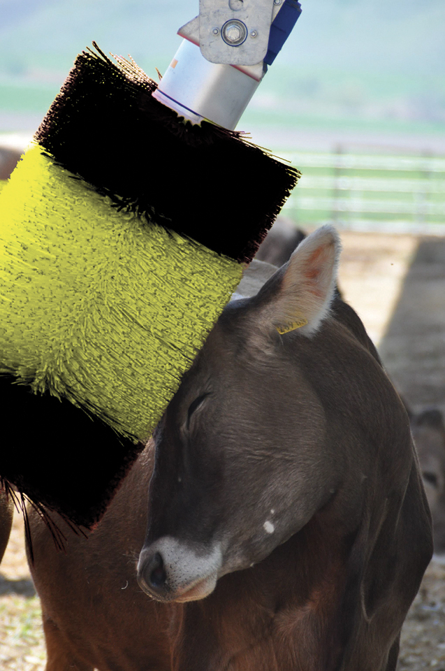 Brosse à vaches Rovibec 