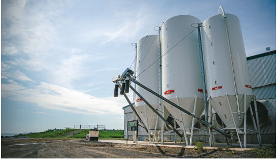 Silo à grain 