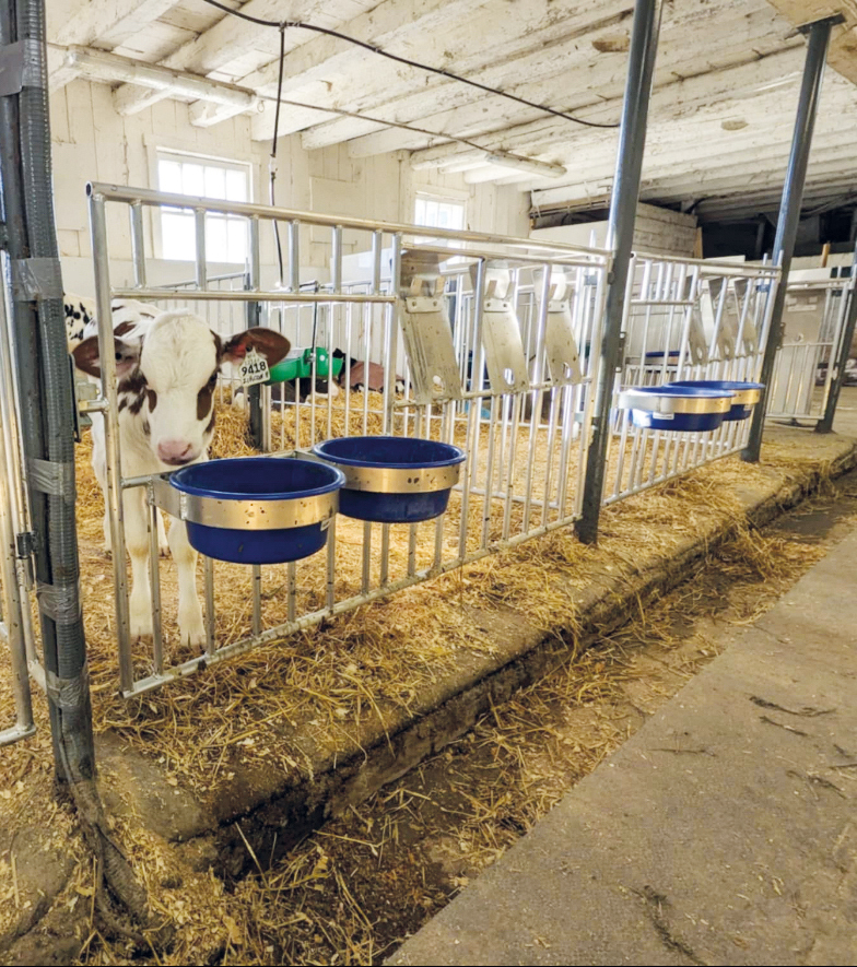   Porte en aluminium pour parc à  veaux avec chaudières  et plaques pour chaudières  à tétine