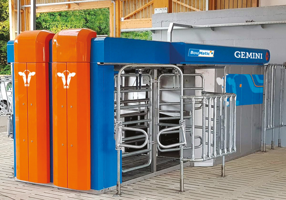   Robot de traite Gemini double box