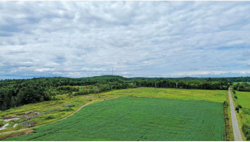Dyane Cotnoir, Courtage agricole Ferme/Fermette À vendre