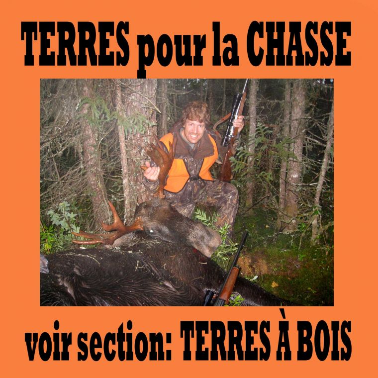 Groupe Trépanier (Maxxum Centre inc.) Terre à bois À vendre