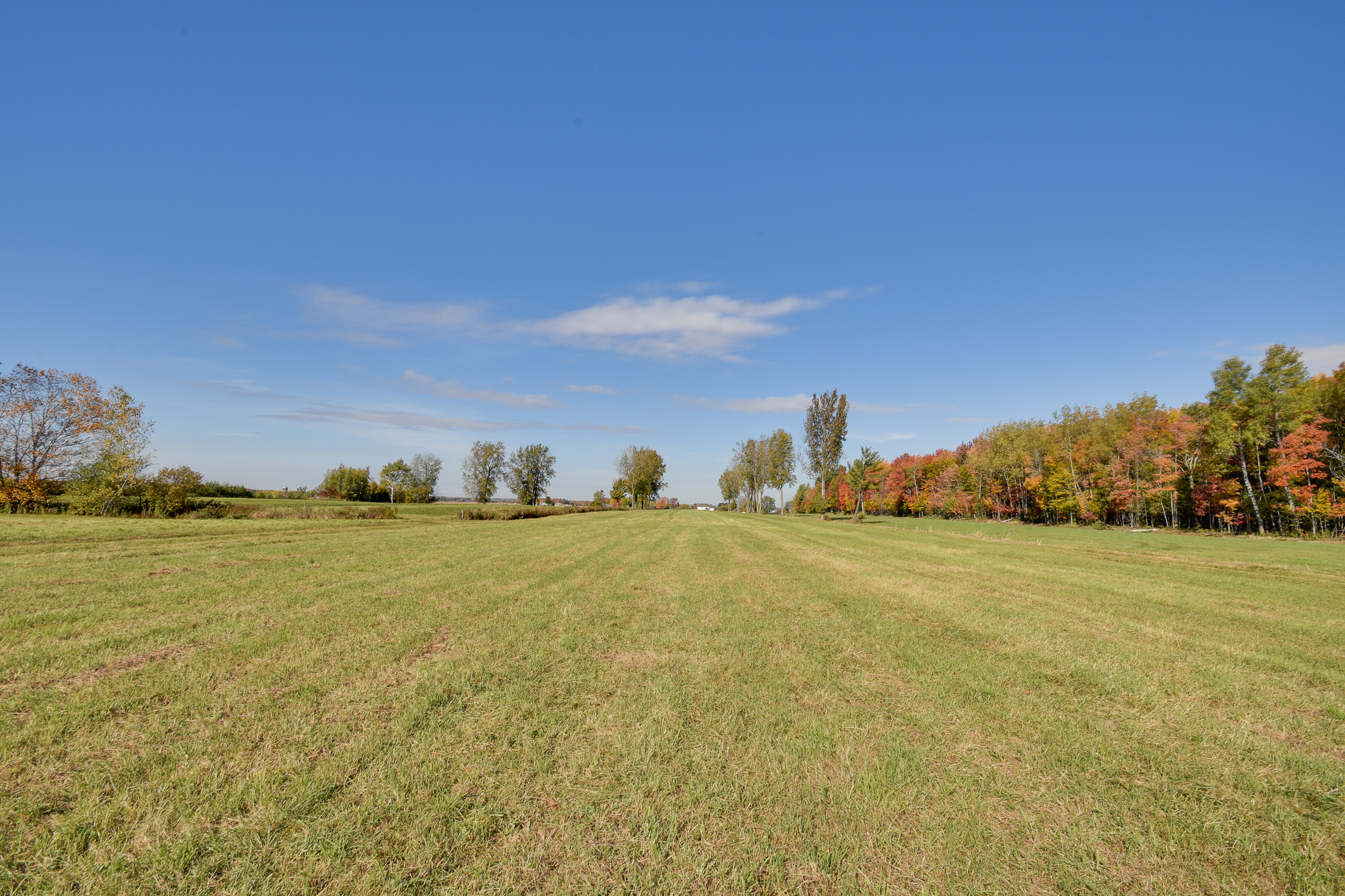 Lafontaine & filles Courtiers immobiliers Terre agricole À vendre