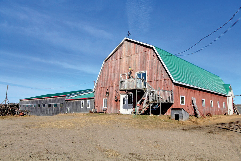 Dyane Cotnoir, Courtage agricole Ferme/Fermette À vendre