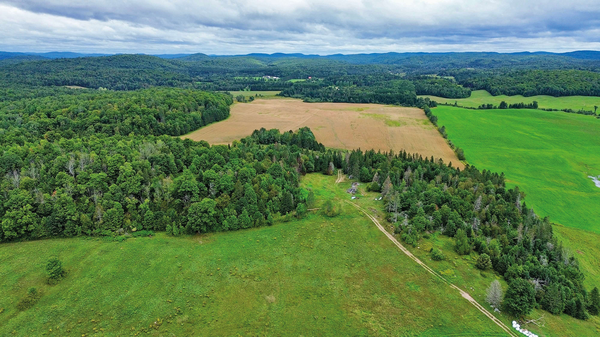 Dyane Cotnoir, Courtage agricole Étable/Grange À vendre