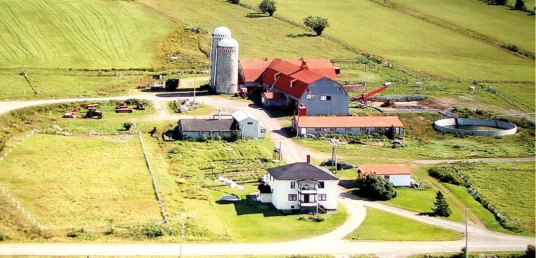 Dyane Cotnoir, Courtage agricole Ferme/Fermette À vendre