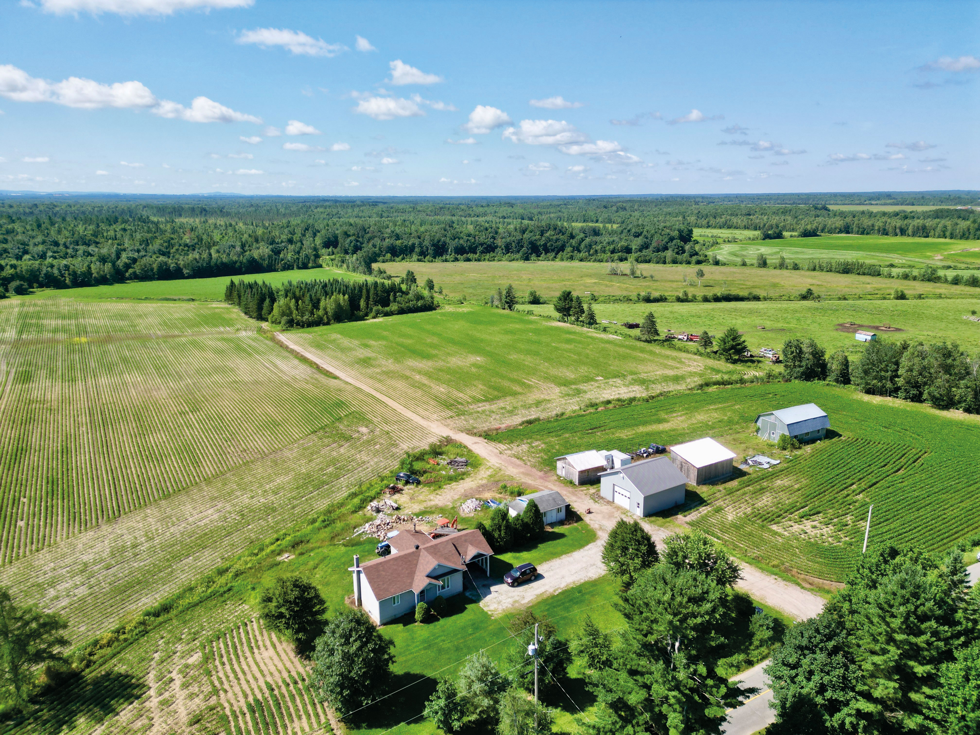 Gestion David Couture inc. / Gestion Sara de Grady (Sutton) Terre agricole À vendre