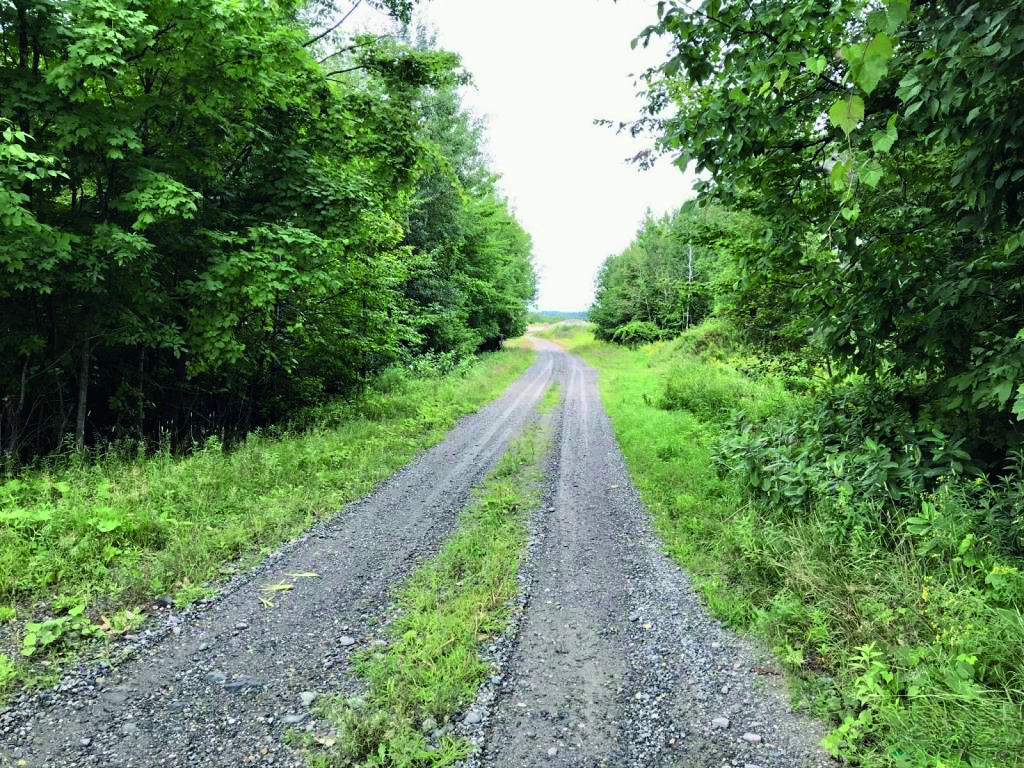 Lafontaine & filles Courtiers immobiliers Wood land For sale