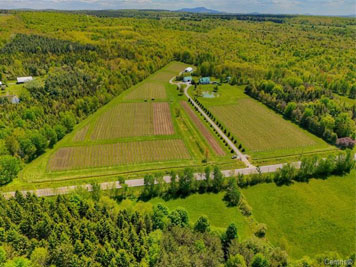 Gestion David Couture inc. / Gestion Sara de Grady (Sutton) Domaine À vendre