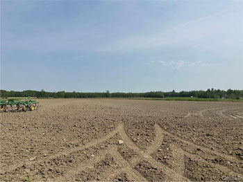 Gestion David Couture inc. / Gestion Sara de Grady (Sutton) Terre à bois 