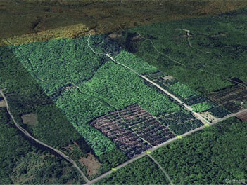 Gestion David Couture inc. / Gestion Sara de Grady (Sutton) Terre à bois À vendre