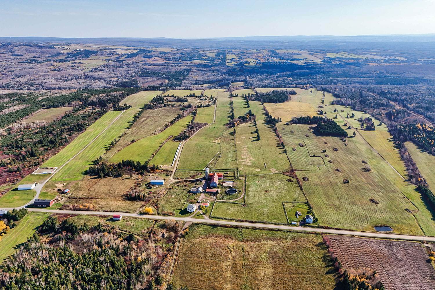 Dyane Cotnoir, Courtage agricole Terre agricole 