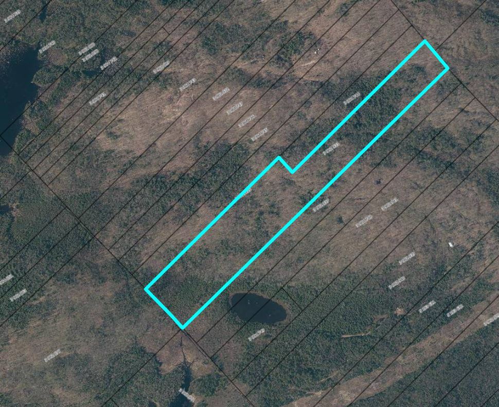 Groupe Trépanier (Maxxum Centre inc.) Wood land For sale