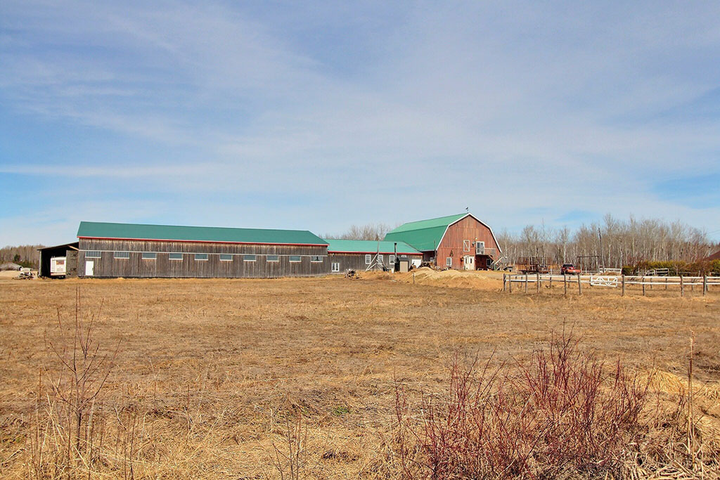 Dyane Cotnoir, Courtage agricole Ferme/Fermette À vendre